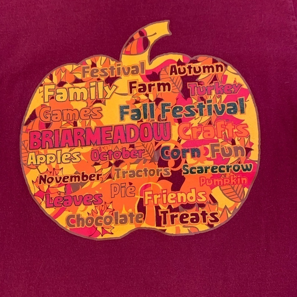 PUMPKIN FALL BURGUNDY SHIRT SMALL - Picture 2 of 4